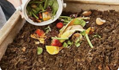 How to start composting at home