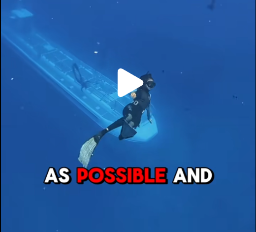 if you’re diving and you see a submarine